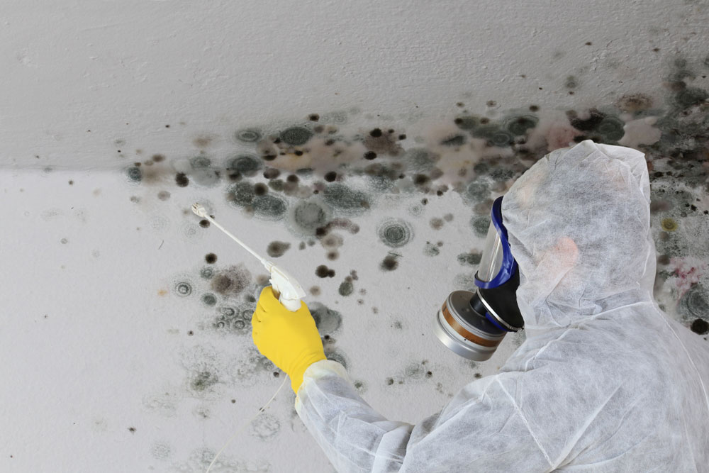 Mold Remediation for Condominium & Residential Buildings